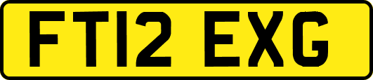 FT12EXG