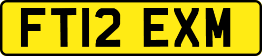 FT12EXM