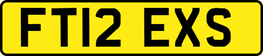 FT12EXS