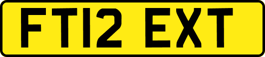 FT12EXT