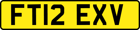 FT12EXV