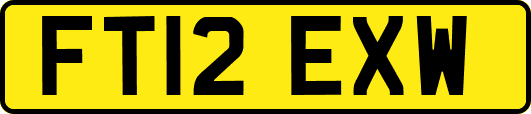 FT12EXW