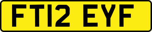 FT12EYF