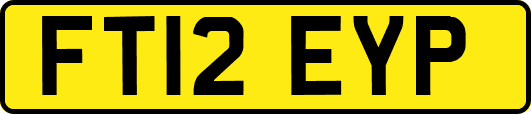FT12EYP