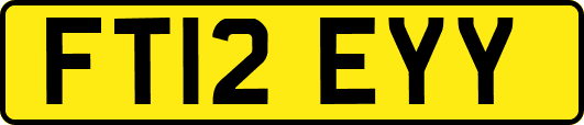 FT12EYY