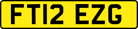 FT12EZG