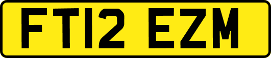 FT12EZM