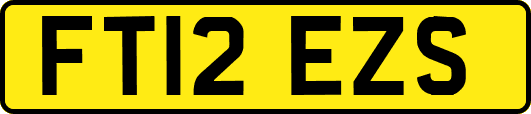 FT12EZS