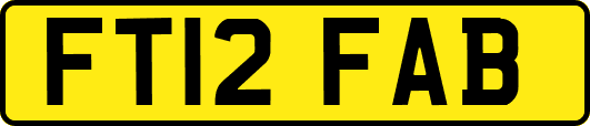 FT12FAB