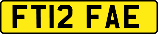 FT12FAE