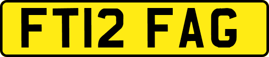 FT12FAG