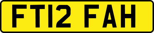 FT12FAH