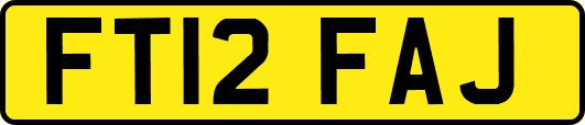 FT12FAJ