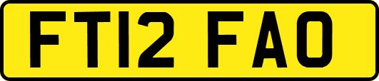 FT12FAO