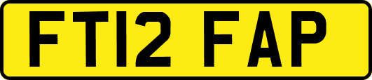 FT12FAP