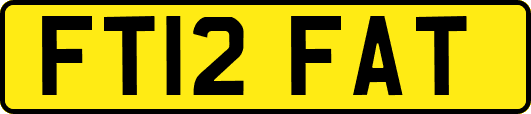 FT12FAT