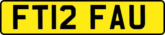 FT12FAU