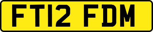 FT12FDM