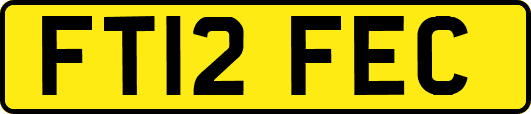 FT12FEC