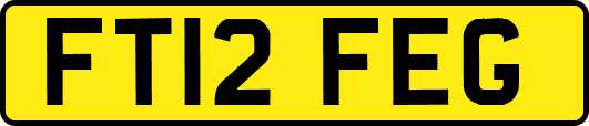 FT12FEG