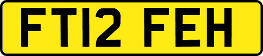 FT12FEH