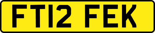 FT12FEK