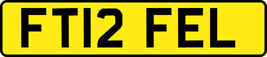 FT12FEL