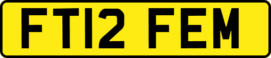 FT12FEM