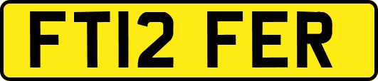 FT12FER