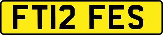 FT12FES