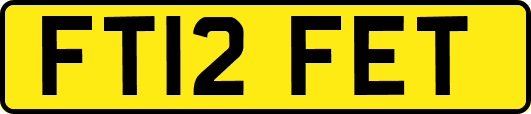 FT12FET