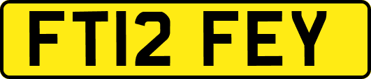 FT12FEY