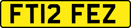 FT12FEZ