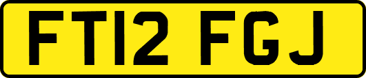 FT12FGJ