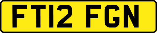 FT12FGN