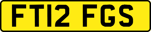 FT12FGS