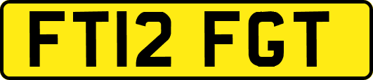 FT12FGT