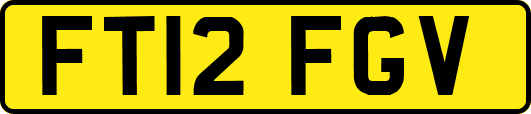 FT12FGV