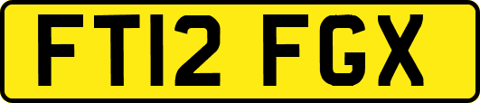 FT12FGX