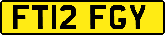 FT12FGY