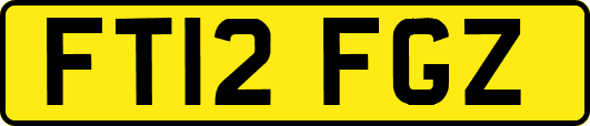 FT12FGZ