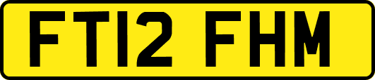 FT12FHM