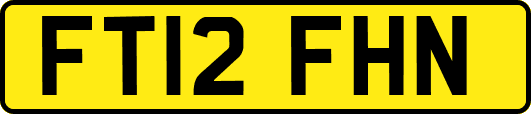 FT12FHN