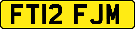 FT12FJM