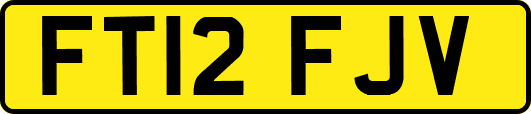 FT12FJV