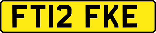 FT12FKE
