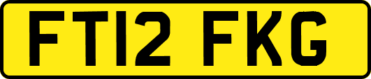FT12FKG