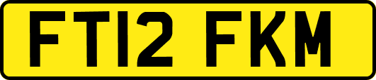 FT12FKM