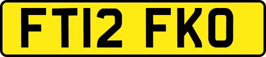 FT12FKO