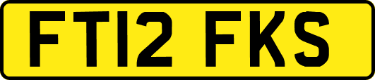 FT12FKS